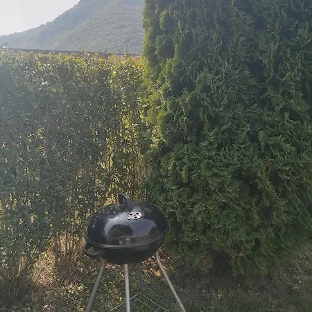 Kuca Za Odmor In * Bajina Basta